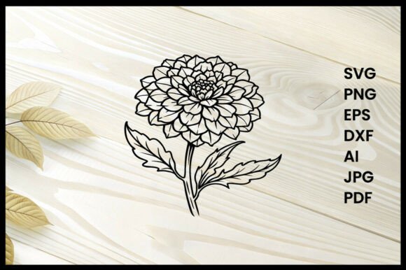 Elegant Marigold Flower Line Art for Graphics and Coloring Pages Amp