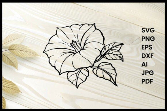 Elegant Morning Glory Flower Line Art for Graphics